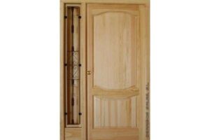 puerta maciza de calle con bisagras antipalanca