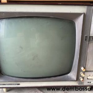 Televisor antiguo. Ideal para decoración y tematización.